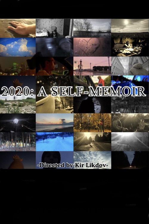 2020: A Self-Memoir (2021) poster
