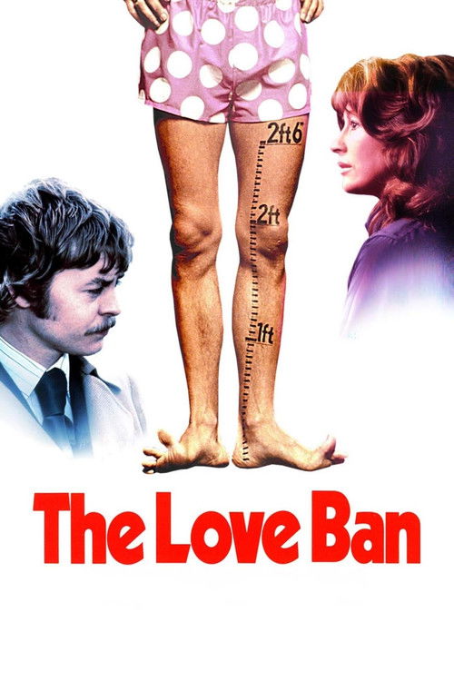 The Love Ban (1973) poster