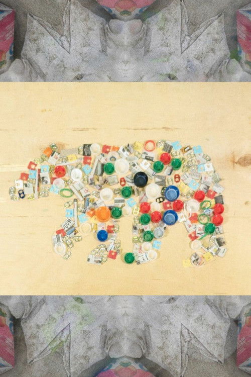 Ni Wapiten (2024) poster