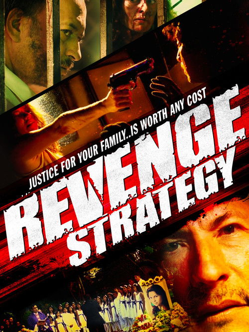 Revenge Strategy (2016) poster