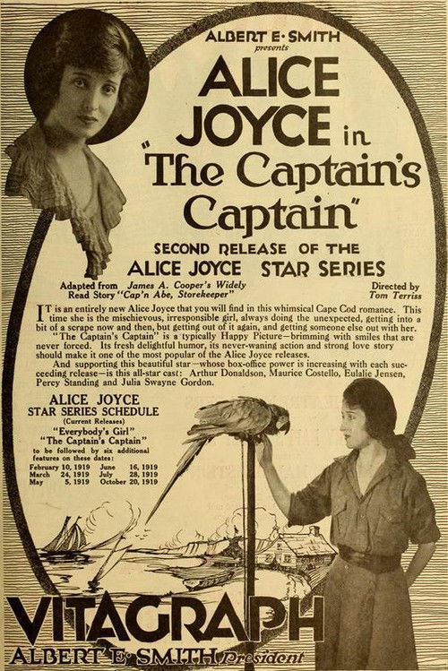 The Captain's Captain (1919) poster