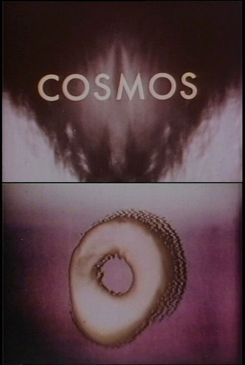 Cosmos (1969) poster
