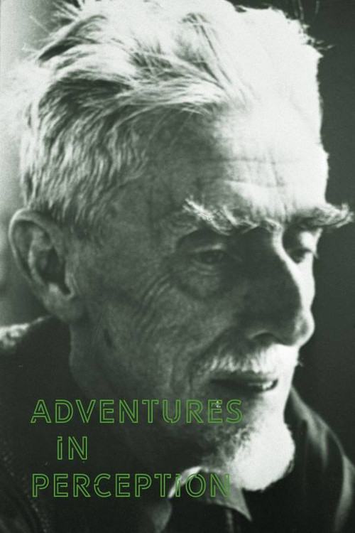 Met het oog op avontuur (1971) poster