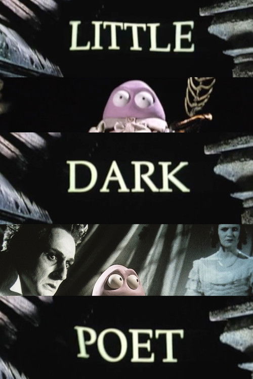 Little Dark Poet (1999) poster