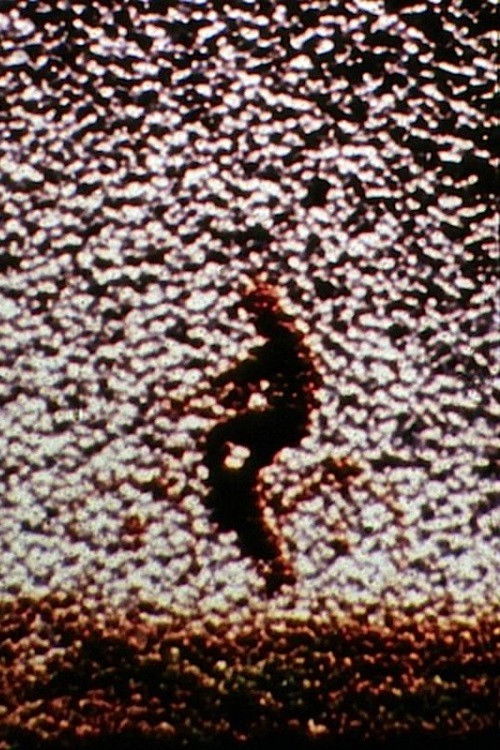 Remains to Be Seen (1989) poster