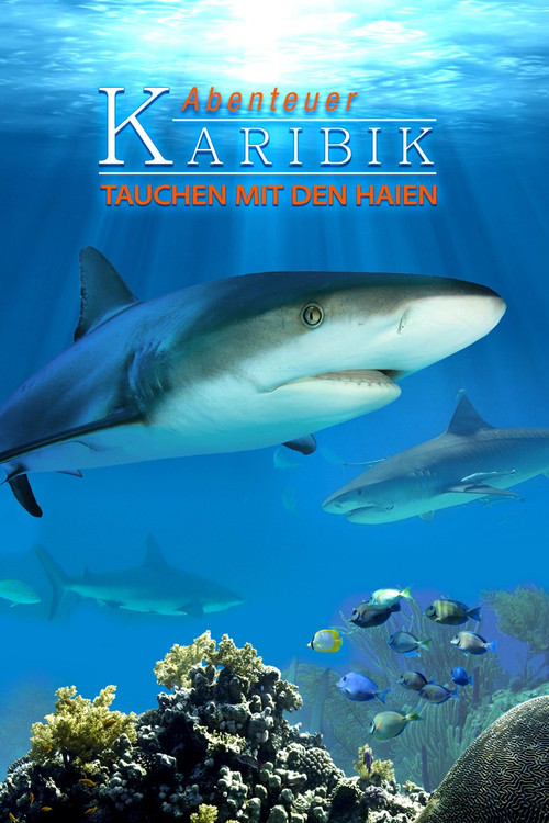 Adventure Caribbean 3D: Diving With Sharks (2012) poster