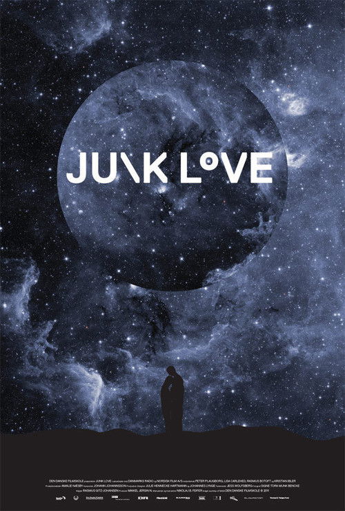 Junk Love (2011) poster