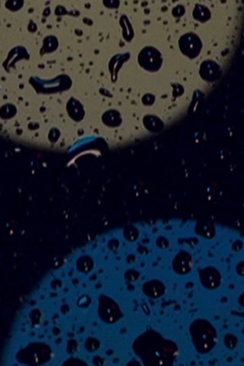 Raindrops #7 (2009) poster