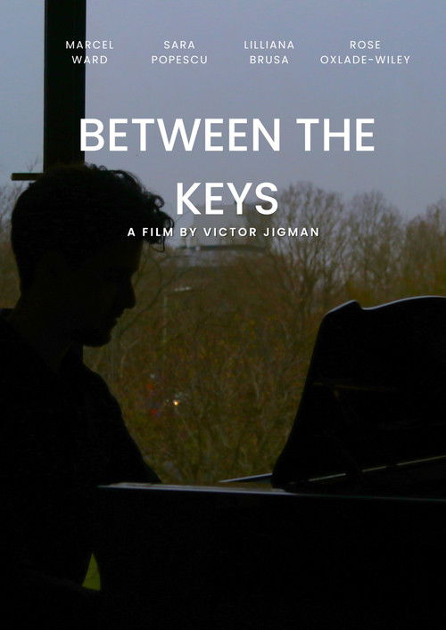 Between the Keys (2025) poster