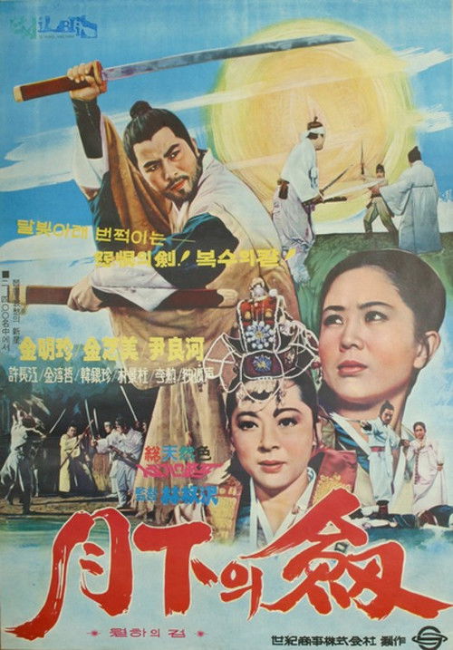 월하의 검 (1970) poster