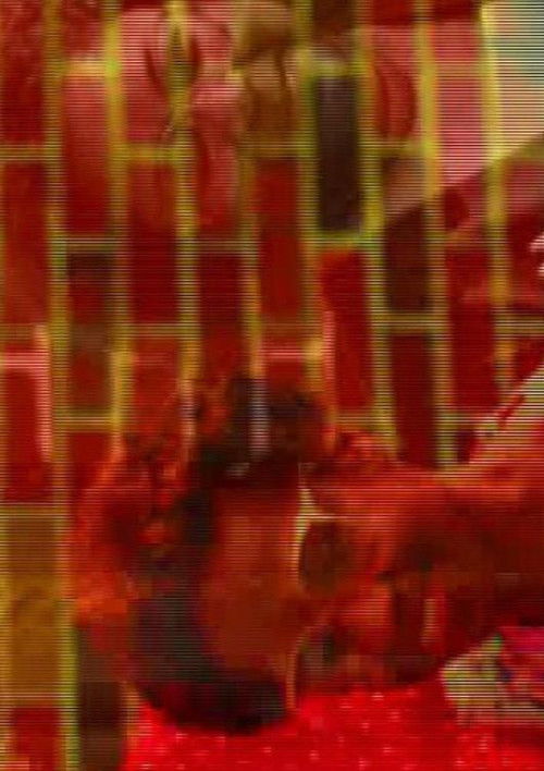 Kodachrome Revisited (1987) poster