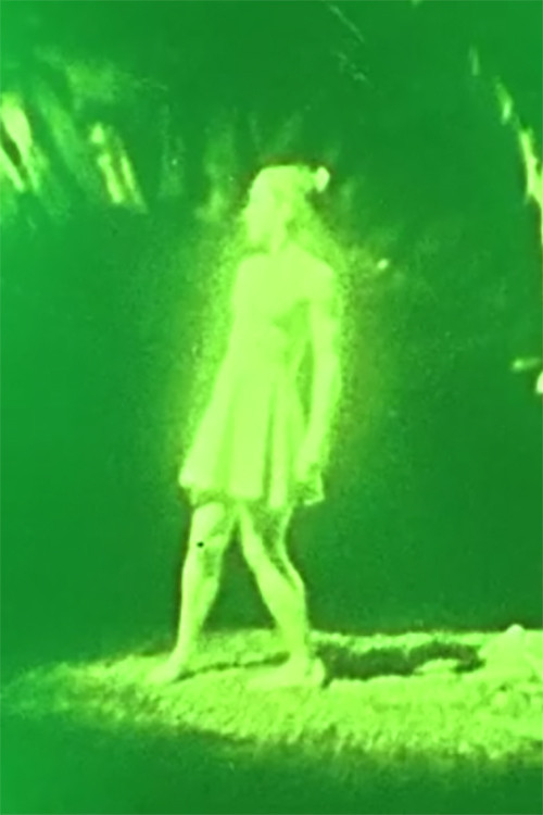 That Dizzying Crest (2013) poster