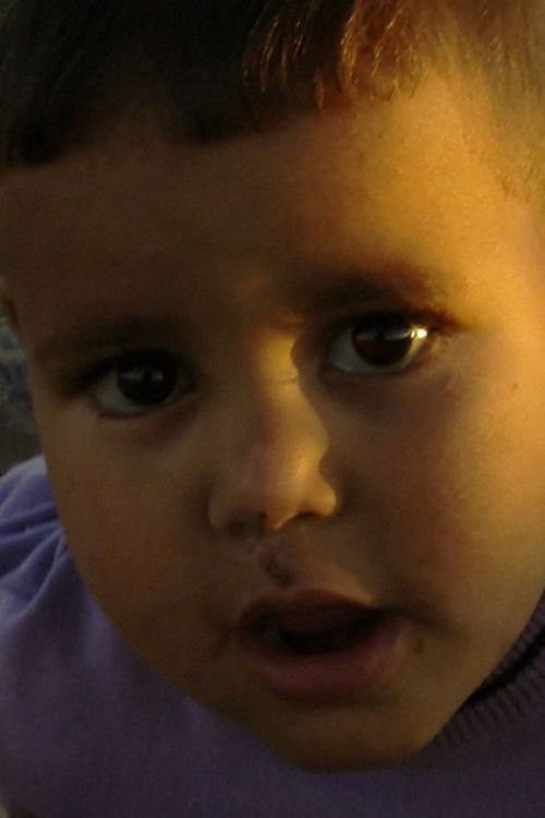 Anacos do Sáhara (2014) poster