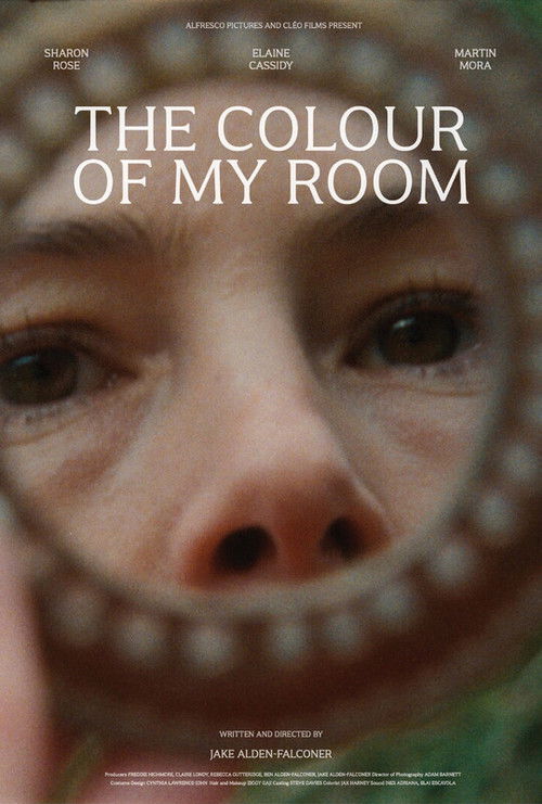 The Colour of My Room (2024) poster