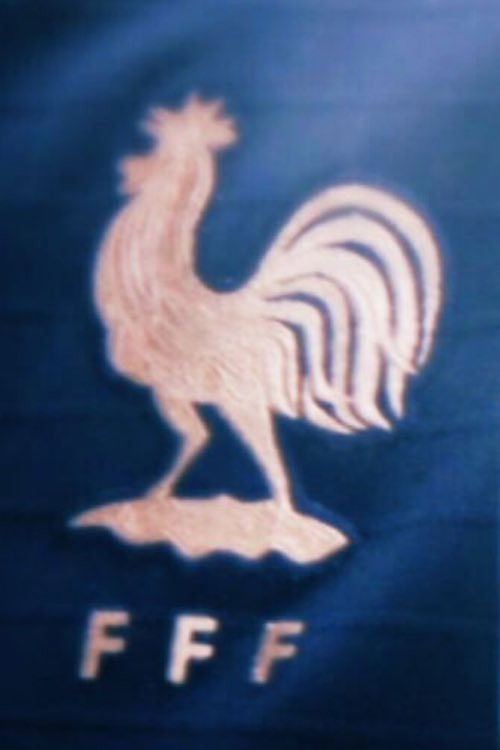 Bleues (2019) poster