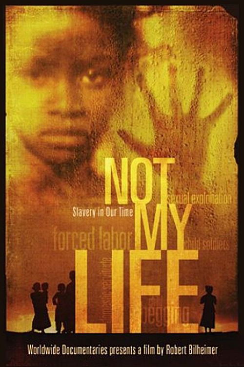Not My Life (2011) poster