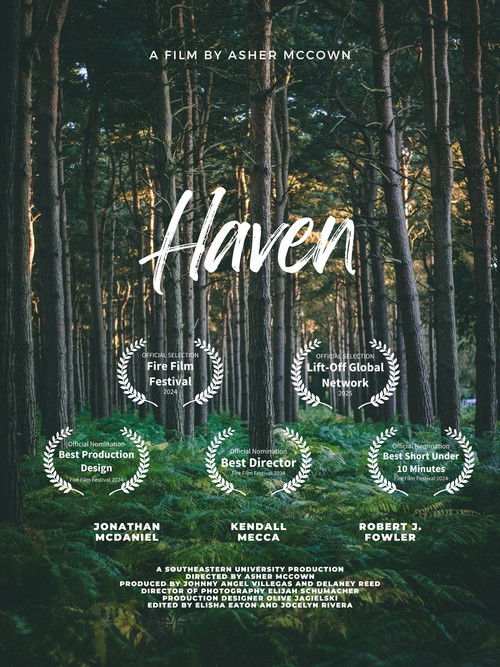 Haven (2024) poster
