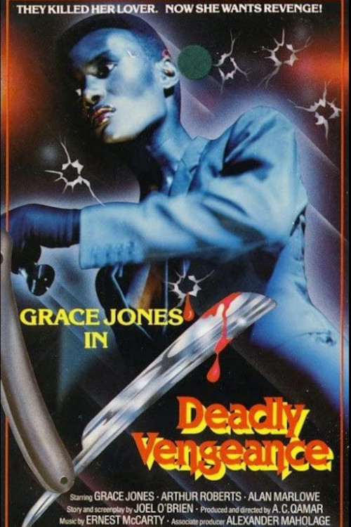 Deadly Vengeance (1981) poster
