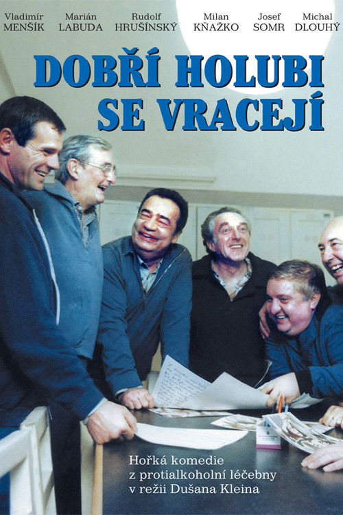Dobří holubi se vracejí (1989) poster