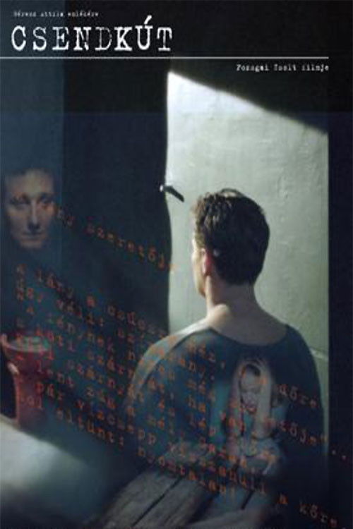 Well of Silence (2007) poster