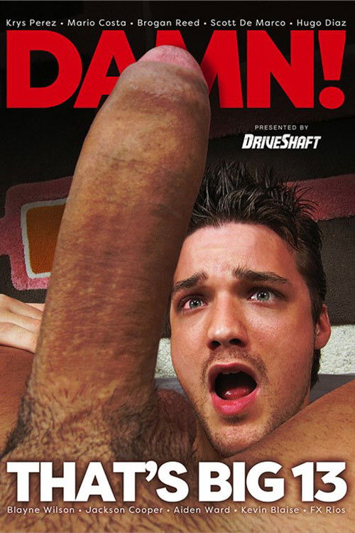 Damn That's Big 13 (2016) poster