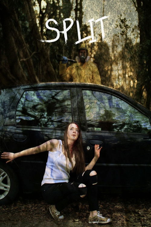 Split (2021) poster