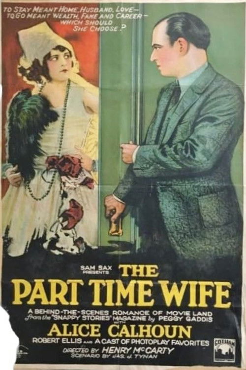 The Part-time Wife (1925) poster