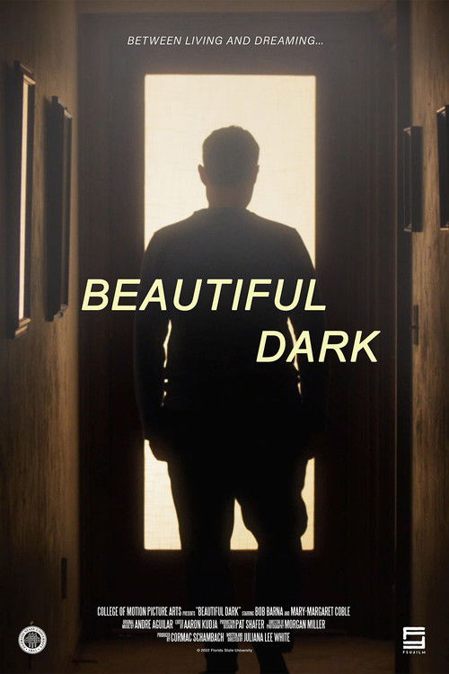 Beautiful Dark (2022) poster