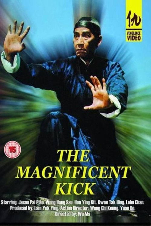 The Magnificent Kick (1980) poster