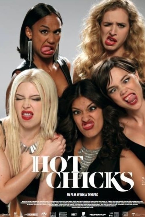 Hot Chicks (2014) poster