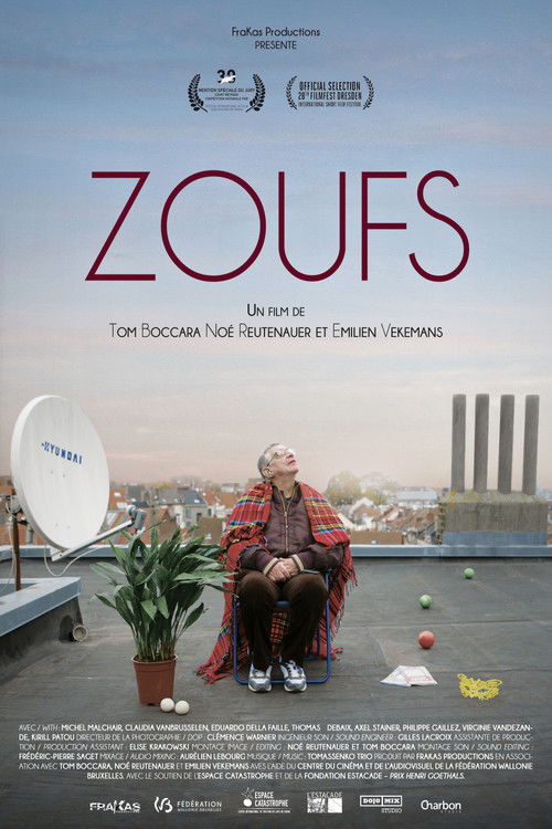 Zoufs (2015) poster