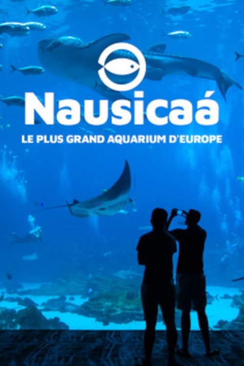 Nausicaa: The Largest Aquarium in Europe (2019) poster