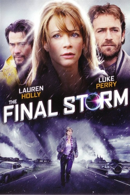 The Final Storm (2010) poster