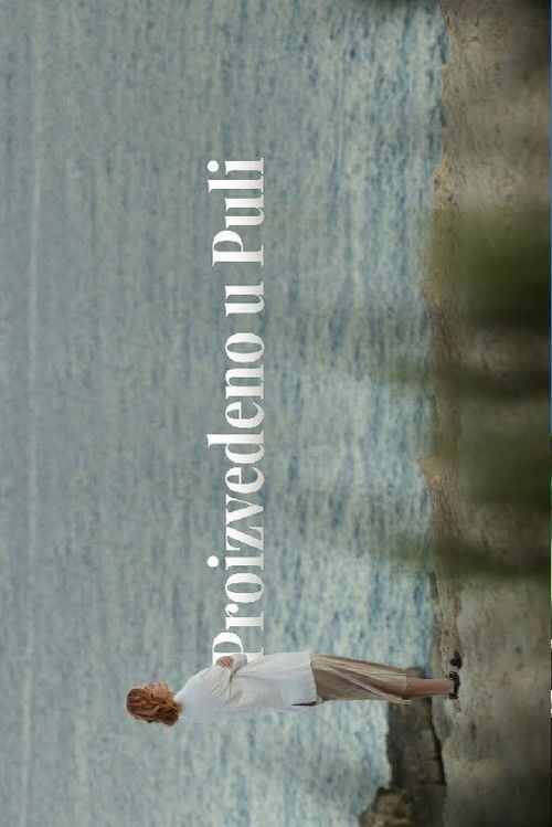 Proizvedeno u Puli (2022) poster