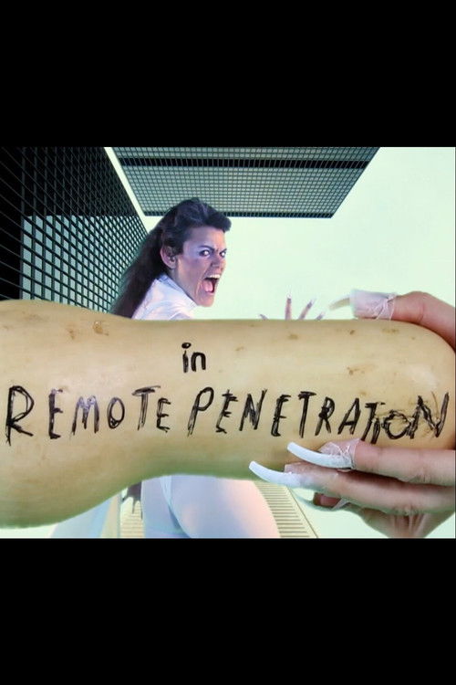 Remote Penetration / Stain of History (2013) poster