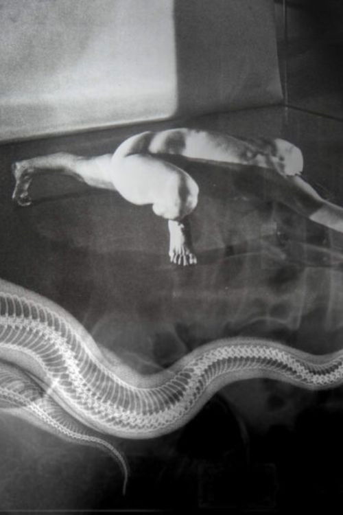 Transparent (2022) poster