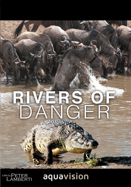 Rivers of Danger (2004) poster