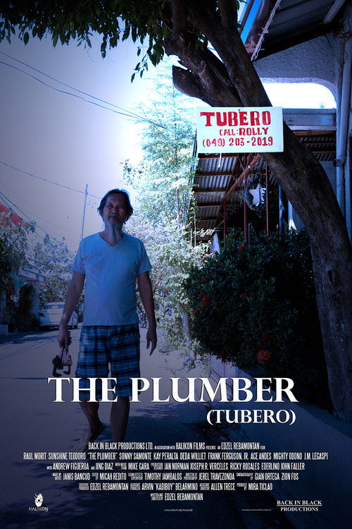 The Plumber (2019) poster