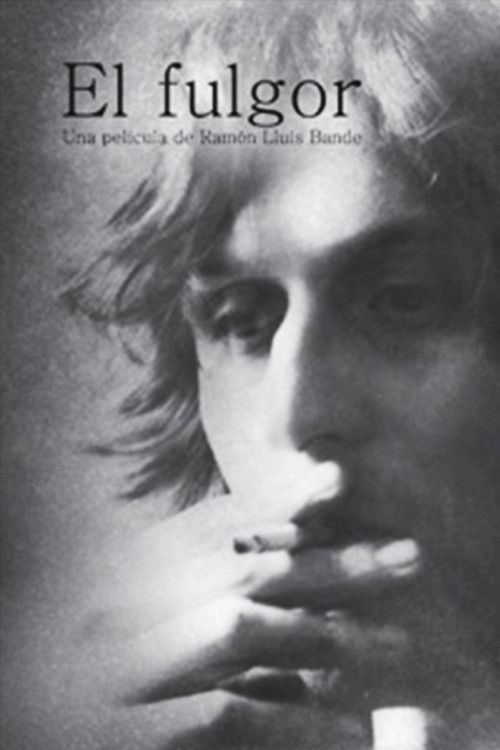 El Fulgor (2002) poster