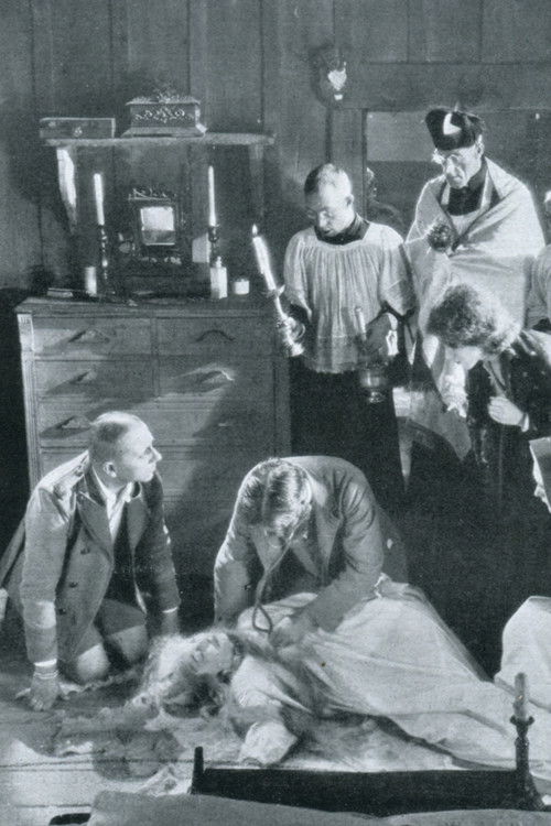 The Honeymoon (1929) poster