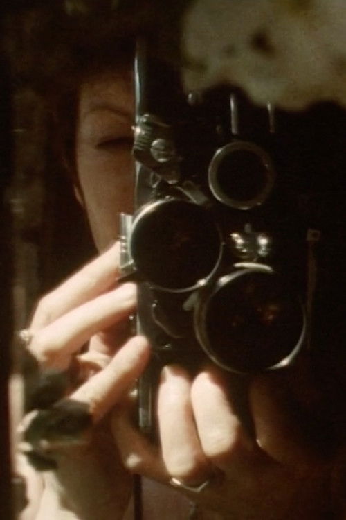 Poems and Constructions (2008) poster