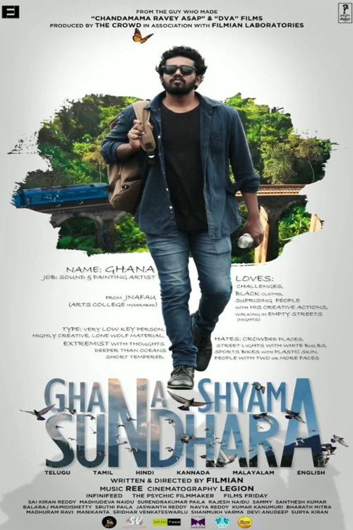 Ghana Shyama Sundara (2024) poster