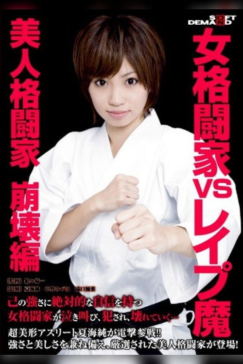 Female Martial Arts Master's Fight (2009) poster