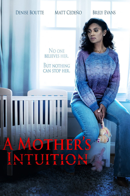 A Mother's Intuition (2024) poster