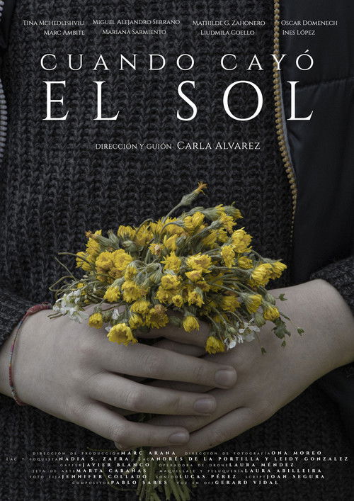 Cuando cayó el sol (2022) poster