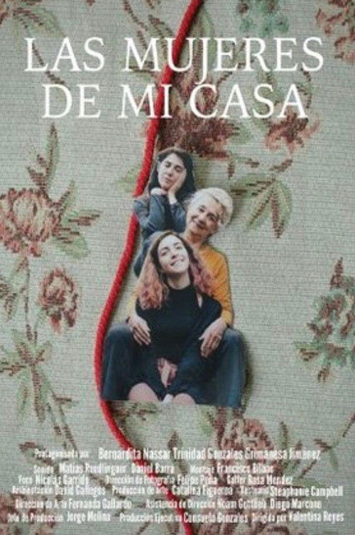 Las mujeres de mi casa (2020) poster