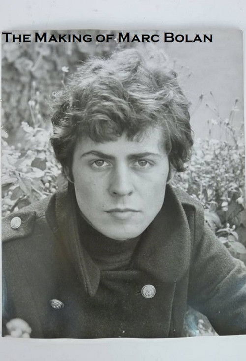 The Making of Marc Bolan (2017) poster