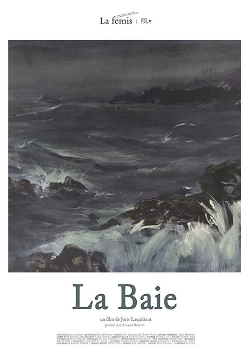 La Baie (2017) poster