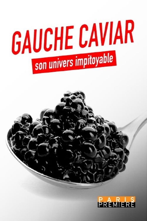 Gauche caviar, son univers impitoyable (2022) poster