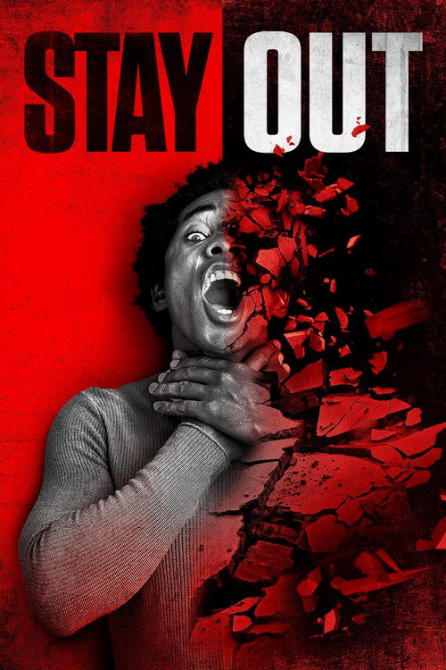 Stay Out (2022) poster